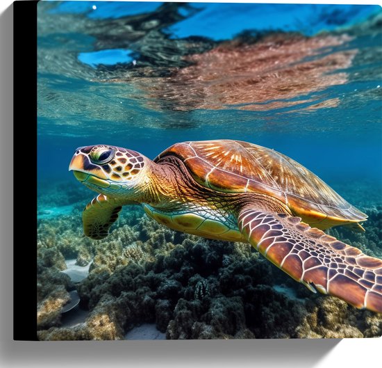 Canvas - Schildpad zwemt door de zee heen met onderwater planten - 30x30 cm Foto op Canvas Schilderij (Wanddecoratie op Canvas)