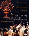 Mariinsky Orchestra, Valery Gergiev - Stravinsky: Le Sacre Du Printemps/The Firebird (Blu-ray)
