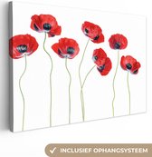Canvas schilderij - Bloemen - Klaproos - Rood - Wit - Foto op canvas - Canvasdoek - 60x40 cm - Schilderijen op canvas