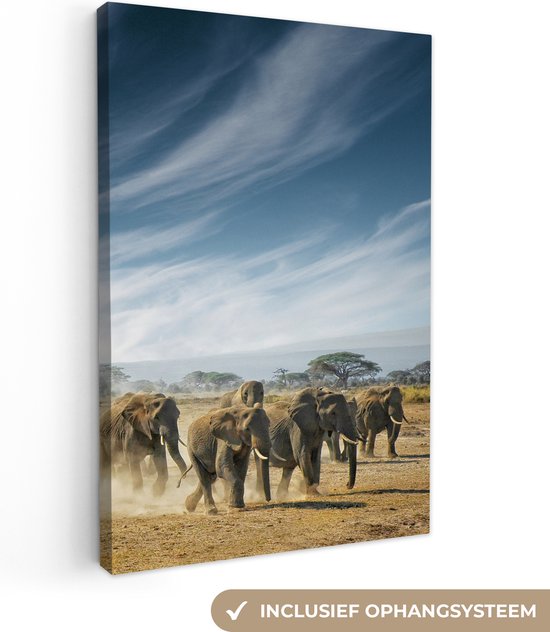 77 Stks/set Schilderij Opknoping Kit Fotolijst Kan