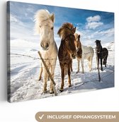 Canvas schilderij - Paard - Wit - Bruin - Dieren - Sneeuw - Foto op canvas - 60x40 cm - Canvasdoek - Schilderijen op canvas