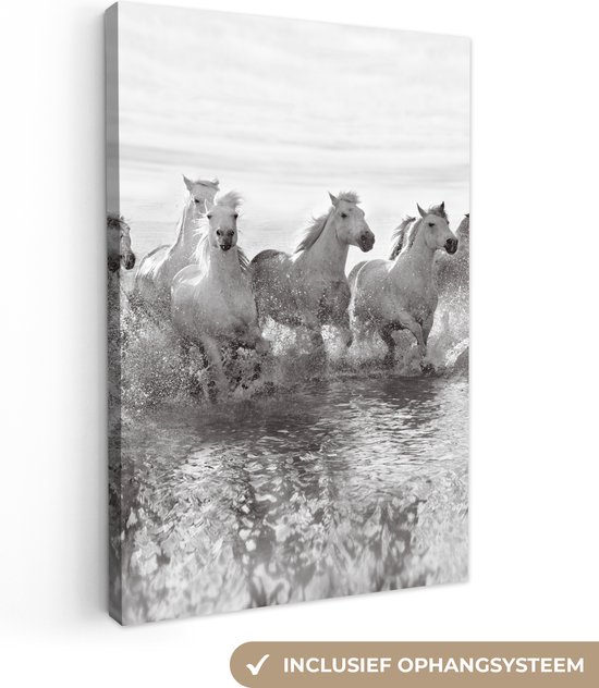 Canvas doek - Foto op canvas - Paard - Zwart - Wit - Dieren - Water - Wanddecoratie - 60x90 cm - Canvas schilderij