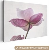 Canvas schilderij - Bloemen - Roze - Botanisch - Natuur - Foto op canvas - 180x120 cm - Schilderijen op canvas - Canvasdoek