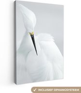 Canvas schilderij - Vogel - Reiger - Veren - Portret - Foto op canvas - Canvasdoek - 80x120 cm - Schilderij vogels
