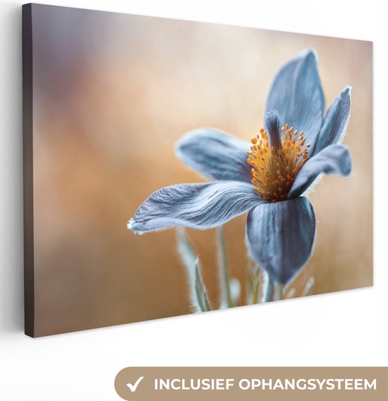 Canvas schilderij - Foto op doek - Bloemen - Blauw - Botanisch - Natuur  -... | bol.com