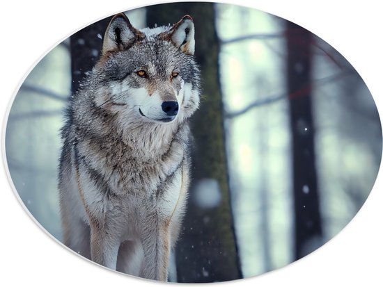 PVC Schuimplaat Ovaal - Wolf staat in een bos in de sneeuw - 40x30 cm Foto op Ovaal (Met Ophangsysteem)