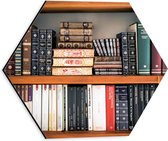 Dibond Hexagon - Planken Vol met Boeken - 30x26.1 cm Foto op Hexagon (Met Ophangsysteem)