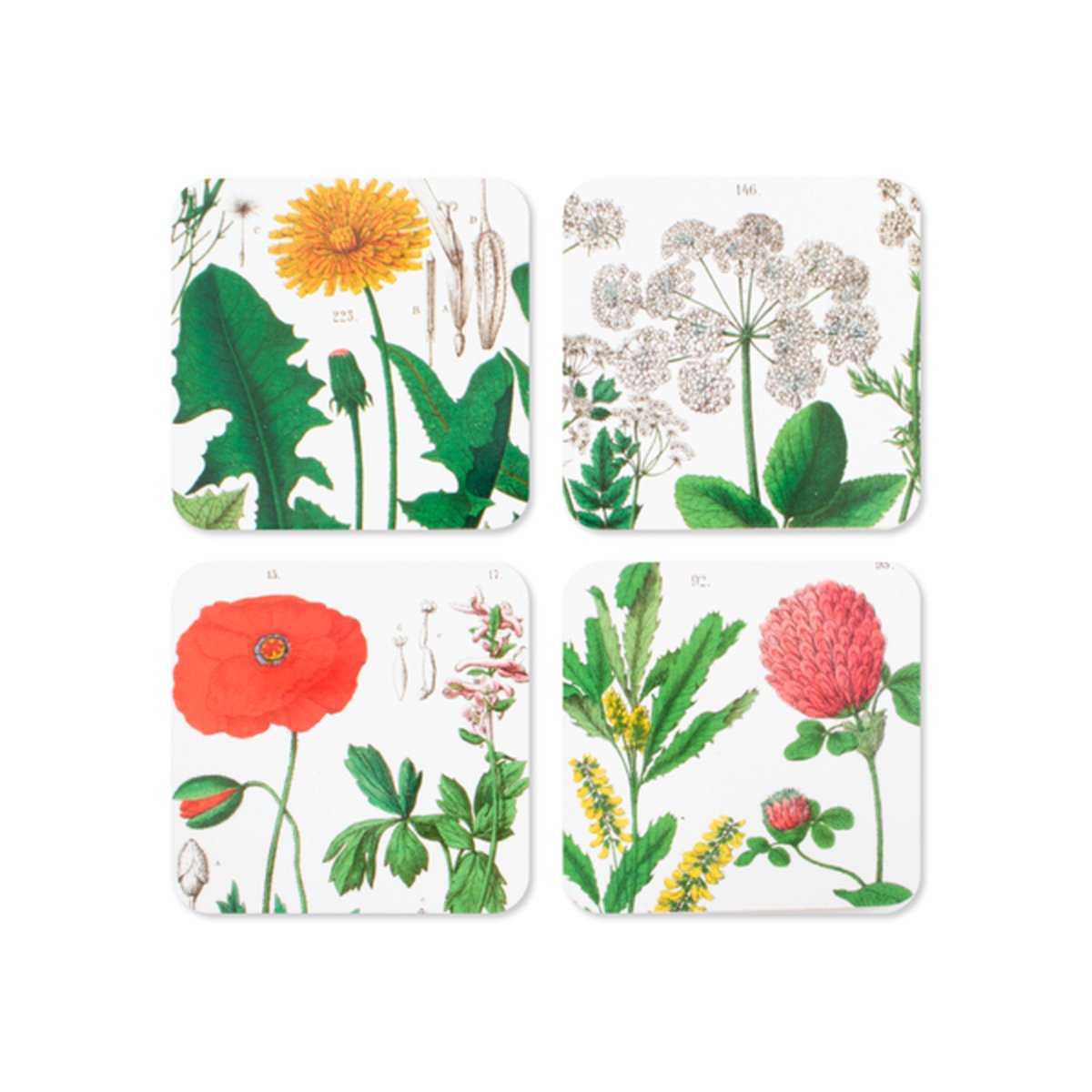 Lanzfeld - Onderzetters Hortus Botanicus - 4 stuks - 9,5x9,5 cm