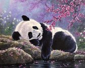 Diamond painting Volwassenen - Slapende panda met kersenbloesem op de achtergrond - 40x50 cm - Vierkante steentjes - Volledig te beplakken - Compleet Hobbypakket