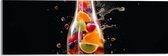 Acrylglas - Fles - Eten - Fruit - Spetters - Kleuren - 60x20 cm Foto op Acrylglas (Met Ophangsysteem)