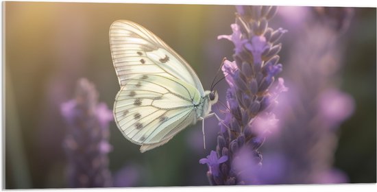 Acrylglas - Insect - Vlinder - Bloem - Lavendel - 100x50 cm Foto op Acrylglas (Met Ophangsysteem)