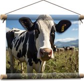 Textielposter - Koe - Gras - Weiland - 40x30 cm Foto op Textiel