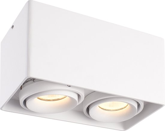 HOFTRONIC Esto - Plafondspot Grijs Dubbel Opbouw - Kantelbaar en Dimbaar - Verwisselbare GU10 Spot - 4000K Neutraal wit - 10 Watt 800 lumen - 187x94x105 mm - IP20 voor woonkamer, slaapkamer en gang - Plafondverlichting binnen