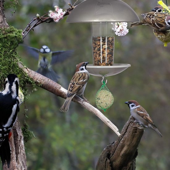 Mangeoire à oiseaux, nichoir, distributeur de graines debout ou suspendu,  jardin et