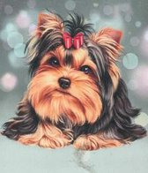 Hond - yorkshire Terrier - Diamond Painting - 50 x 65 - Ronde steentjes
