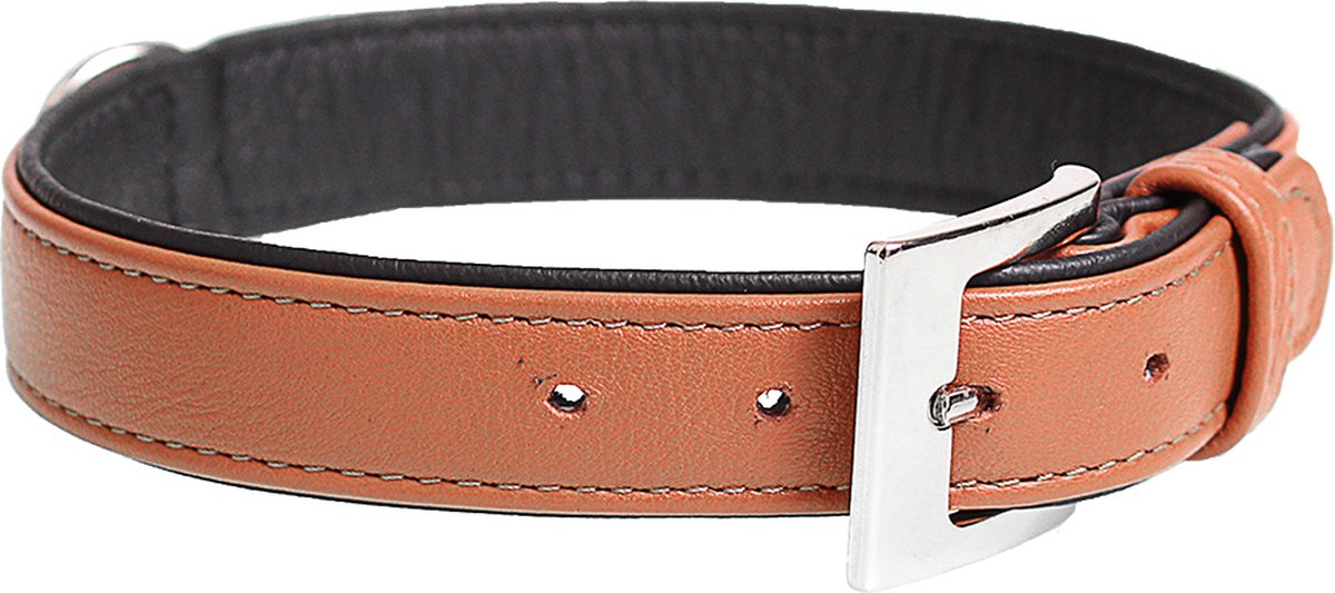 Duvoplus - Halsband Voor Dieren - Hond - Popular Leder Halsband 37-43cm/19mm Cognac - 1st