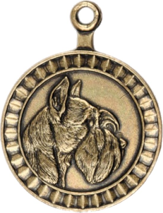 Médaille pour chien - Chien de race Schnauzer