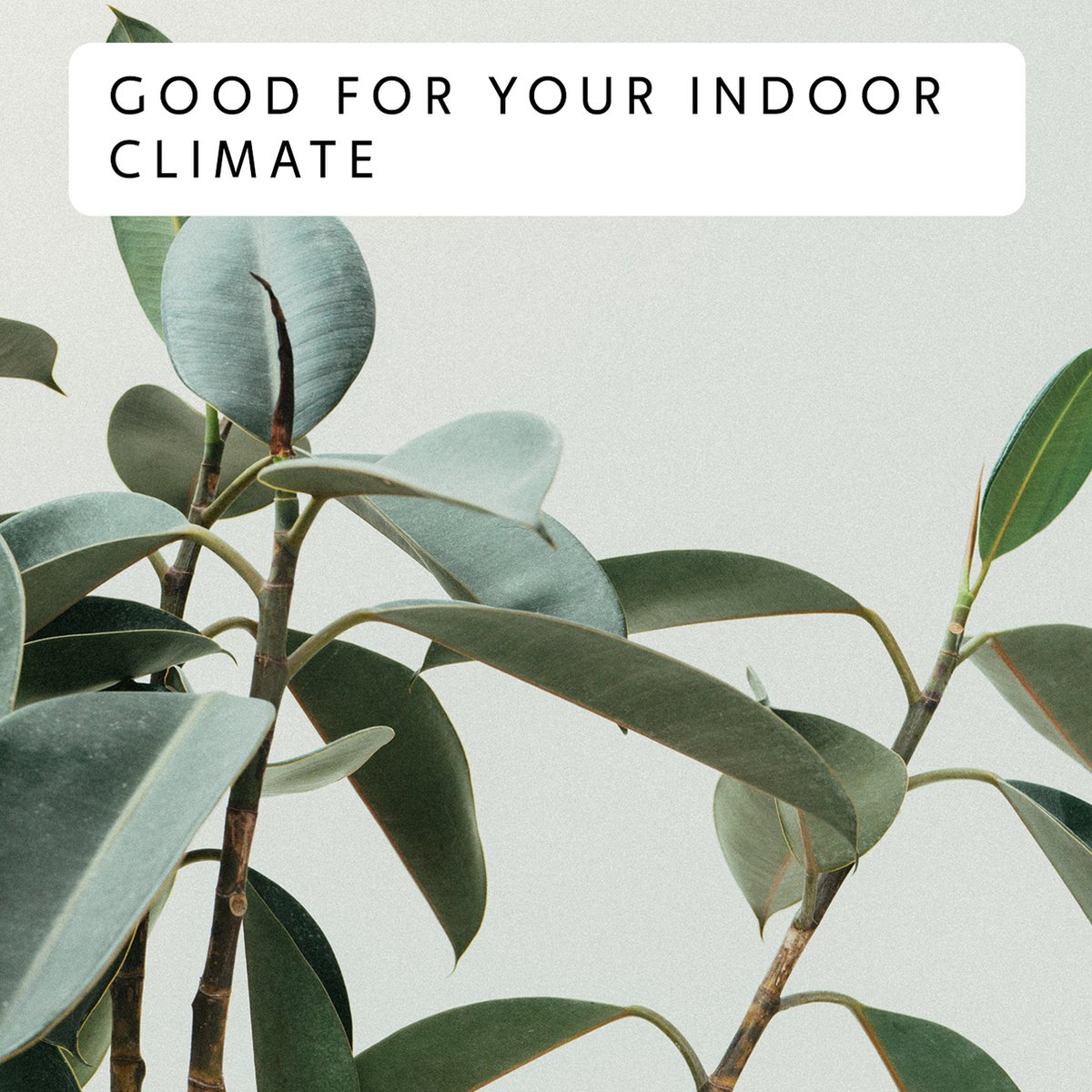 MILL GL600WIFIB - WiFi-geïntegreerde glazen paneelverwarming - 600 Watt - zwart