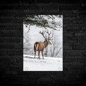 Tuinposter - Tuindoek - Tuinposters buiten - kerst - rendier - tuinposter kerst - tuinposter rendier