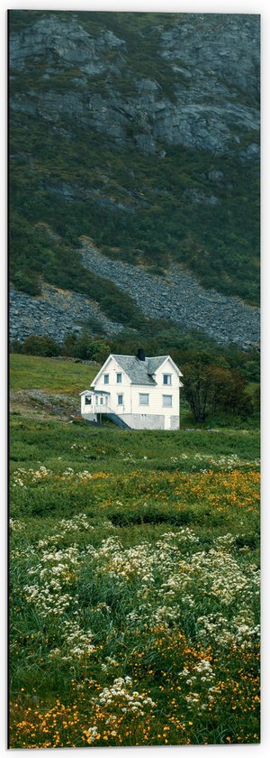 Dibond - Witte Eenzame Villa in het Dal van de Bergen - 40x120 cm Foto op Aluminium (Wanddecoratie van metaal)