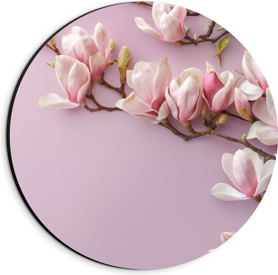 Dibond Muurcirkel - Roze Magnolia Bloemen bij Roze Achtergrond - 20x20 cm Foto op Aluminium Muurcirkel (met ophangsysteem)