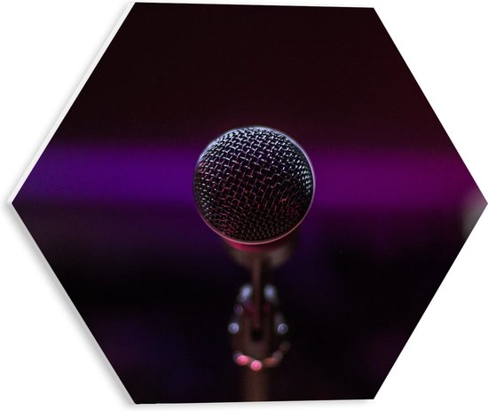 PVC Schuimplaat Hexagon - Close-up van Microfoon op Podium - 30x26.1 cm Foto op Hexagon (Met Ophangsysteem)