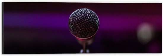 Dibond - Close-up van Microfoon op Podium - 60x20 cm Foto op Aluminium (Met Ophangsysteem)