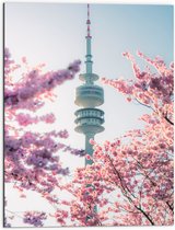 Dibond - Gebouw - Euromast - Bomen - Bloesem - 60x80 cm Foto op Aluminium (Wanddecoratie van metaal)