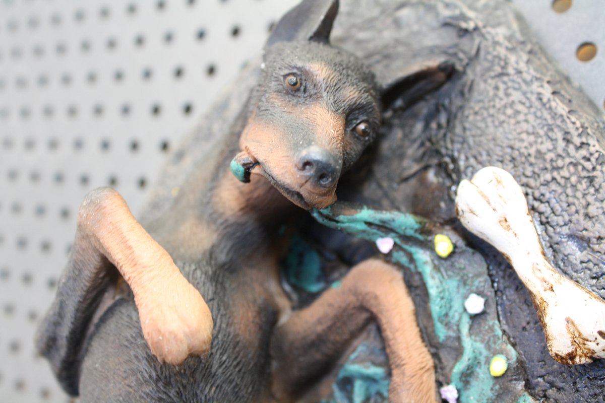 Dobermann