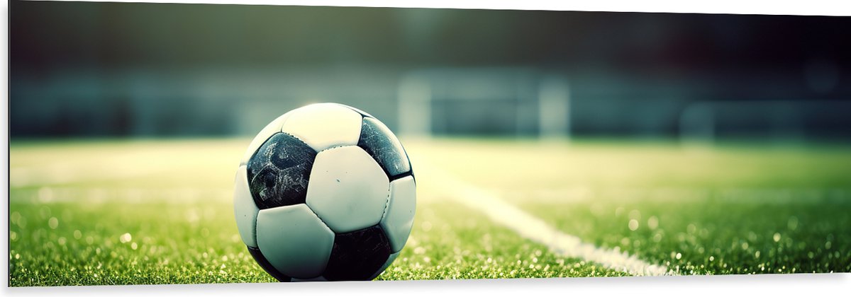 Dibond - Veld - Bal - Voetbal - Lijn - 150x50 cm Foto op Aluminium (Met Ophangsysteem)
