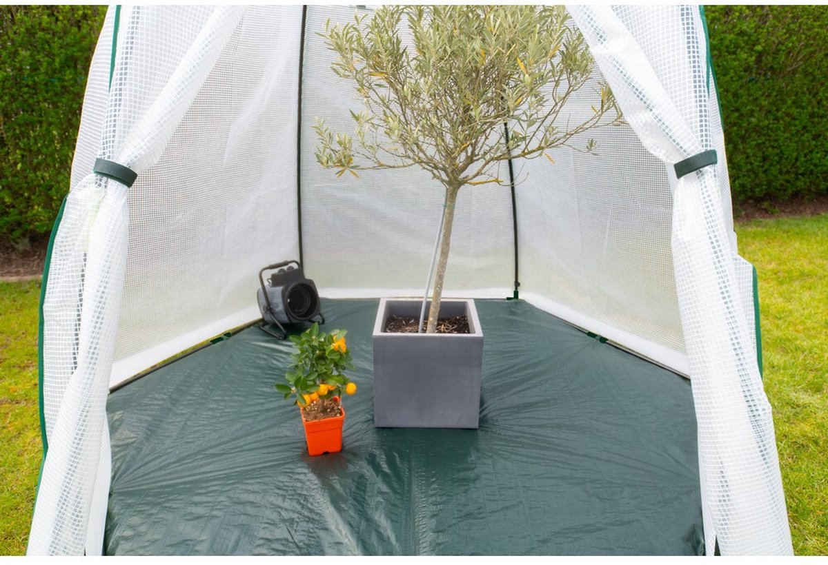 Westmann Avocado housse d’hivernage pour plantes - 250 x 250 cm