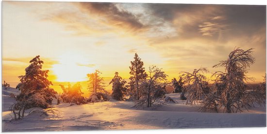 Vlag - Zon Zakkend achter Aantal Bomen in Besneeuwd Landschap - 100x50 cm Foto op Polyester Vlag