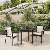The Living Store Tuinset - PE-rattan - Staal - 59x53.5x88 cm - Zwart - Crèmewit
