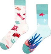 Zooksy mixTURY - Unisex Sokken - Treasures of the Sea - 2-pack - Giftbox - Maat: 36-40