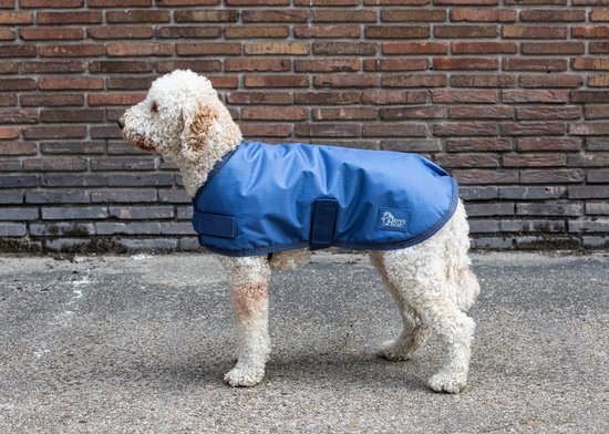 Déguisement Mr Indestructible pour chien