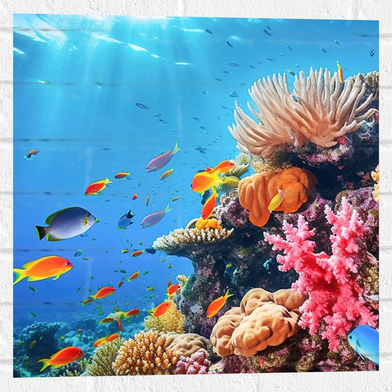 Muursticker - Felkleurige Koraal Omringd door Tropische Vissen op Zeebodem - 50x50 cm Foto op Muursticker