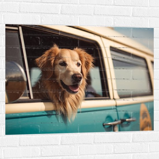 Muursticker - Golden Retriever Hond uit Raam van Blauw Busje - 100x75 cm Foto op Muursticker