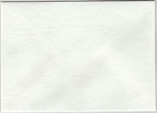 Enveloppen - C6 - 11,4 x 16,2 cm - Wit met Ledermotief/relief - 900 Stuks |  bol