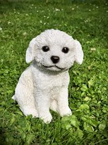 Pup zittend witte Labradoodle 11 cm hoog - levensecht - hond - dog - polyester - polyresin - polystone - hoogkwalitatieve kunststof - decoratiefiguur - interieur - accessoire - voor binnen - cadeau - geschenk - tuinfiguur - tuinbeeldje