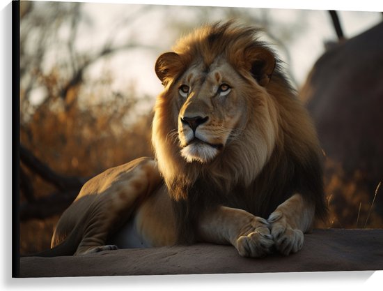 Canvas - Liggende Tevreden Leeuw met Prachtige Manen - 100x75 cm Foto op Canvas Schilderij (Wanddecoratie op Canvas)