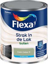 Flexa Strak in de lak - Buitenlak Zijdeglans - Calm Colour 3 - 1l