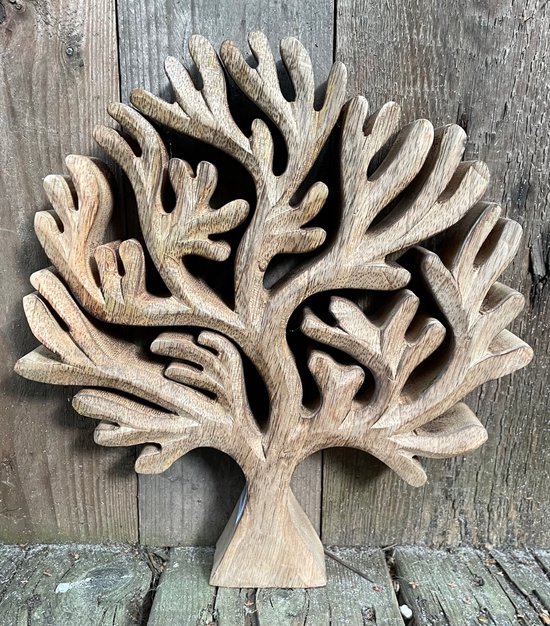 Scolapasta Stefanplast - Diametro 28 Cm, Colori Vivaci, Made In Italy E Facile Da Pulire - Foto 4