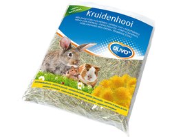 Kruidenhooi paardenbloem 500GR