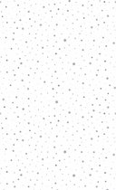 Duni - Noël - 138x220 cm - papier - blanc - étoiles - rectangulaire