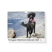 Huurdies - Portugese Waterhond kalender- Jaarkalender 2024 - 35x24 - 300gms