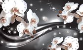Fotobehang - Vlies Behang - Sprankelende Orchideeën en Diamanten - Zilver - 312 x 219 cm