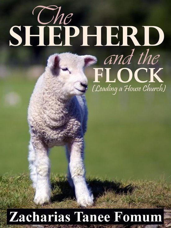 Leading God's people 10 - The Shepherd and the Flock (Leading a House Church)