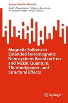 SpringerBriefs in Materials - Magnetic Solitons in Extended Ferromagnetic Nanosystems Based on Iron and Nickel: Quantum, Thermodynamic, and Structural Effects