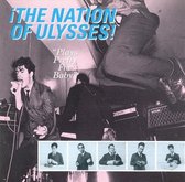 Nation Of Ulysses - Plays Pretty For Baby (LP)