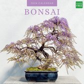 Calendrier bonsaï 2024